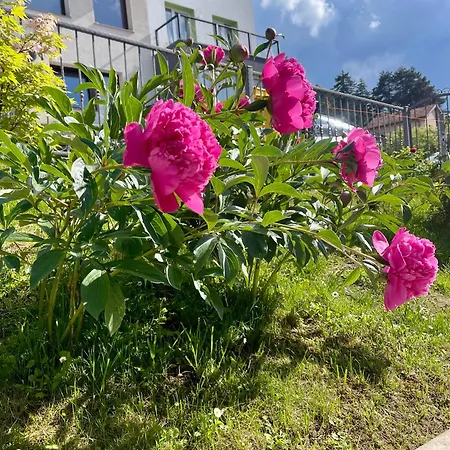 Villa Golden Valley Sarajevo
